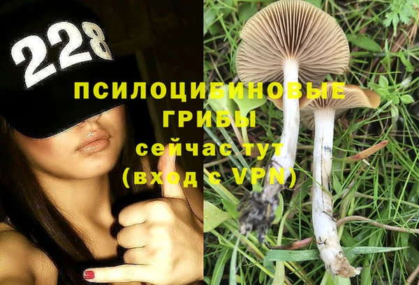 скорость Алексеевка