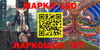индика Лесосибирск
