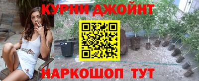 индика Лесосибирск