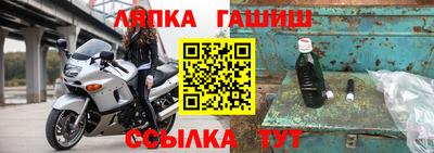 индика Лесосибирск
