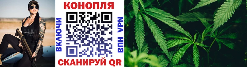 Каннабис VHQ  как найти   Домодедово 